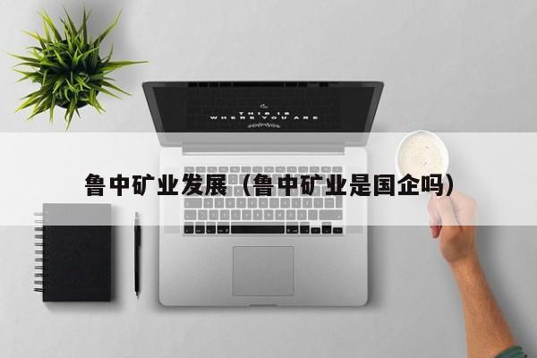 鲁中矿业发展（鲁中矿业是国企吗）