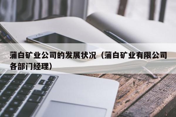 蒲白矿业公司的发展状况（蒲白矿业有限公司各部门经理）